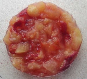apple-and-plumb-sauce-300x272