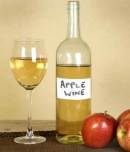 apple-wine-from-fruit-juice-steamer-258x300