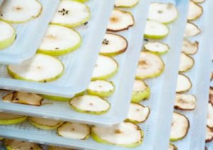 best-food-dehydrator-for-home-use