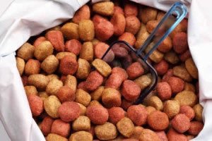 Dog-Food-Canisters-300x200