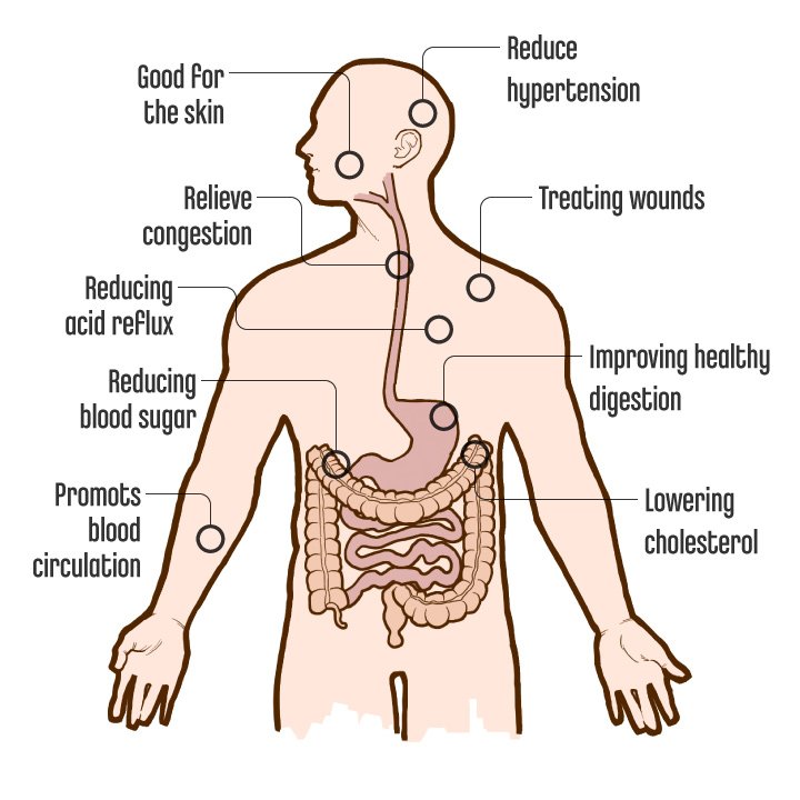 HealthBenefitsOfVinegar