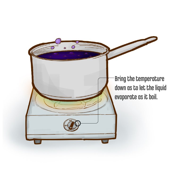 STEP2MakeBalsamicVinegar_BoilingGrapeJuice